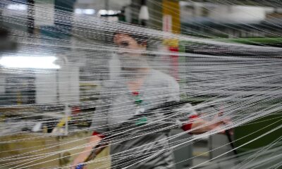 Santa Catarina no Topo Como o Estado Conquistou a Menor Taxa de Desemprego do Brasil em 2025 Santa Catarina no Topo: Como o Estado Conquistou a Menor Taxa de Desemprego do Brasil em 2025