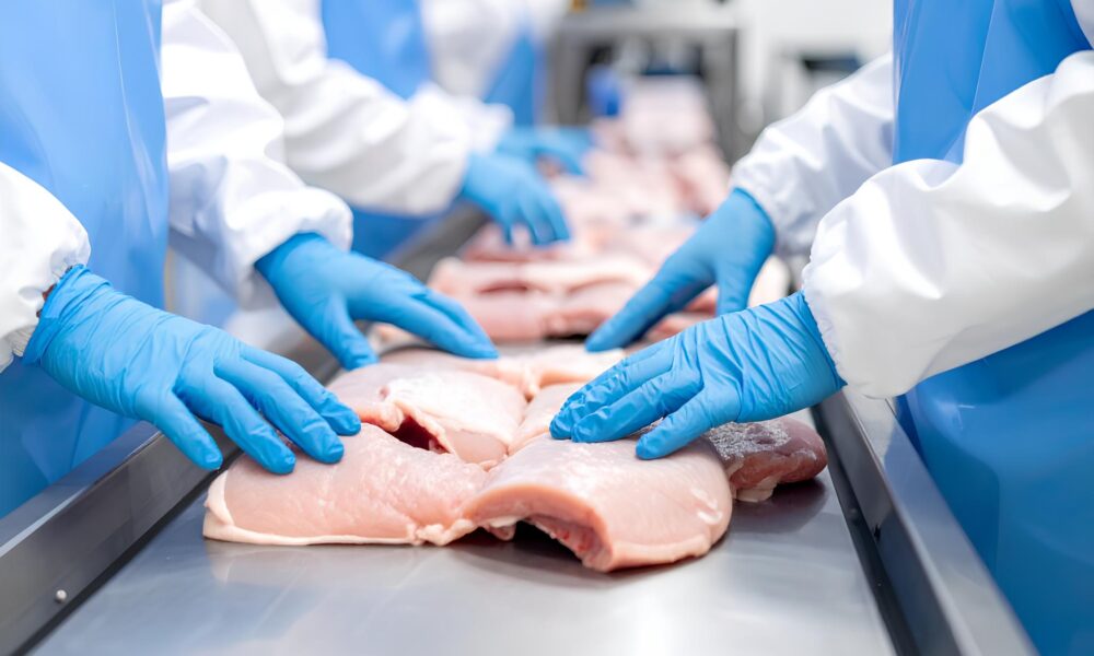 Setor de Alimentos em Ven ncio Aires O Fen meno que Est Mudando a Cara da Economia Local Setor de Alimentos em Venâncio Aires: O Fenômeno que Está Mudando a Cara da Economia Local