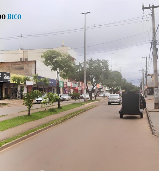 Tocantins em Alta: Como o Estado se Transformou no Farol do Emprego e Desenvolvimento no Brasil 2 Tocantins em Alta Como o Estado se Transformou no Farol do Emprego e Desenvolvimento no Brasil Tocantins em Alta: Como o Estado se Transformou no Farol do Emprego e Desenvolvimento no Brasil