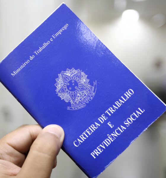 Trabalho Verde Amarelo: O Plano que Pode Transformar o Mercado de Empregos no Brasil 2 Trabalho Verde Amarelo O Plano que Pode Transformar o Mercado de Empregos no Brasil Trabalho Verde Amarelo: O Plano que Pode Transformar o Mercado de Empregos no Brasil