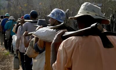 Trinta Anos na Linha de Frente Por Que a Luta Contra o Trabalho Escravo Est em Risco Trinta Anos na Linha de Frente: Por Que a Luta Contra o Trabalho Escravo Está em Risco?