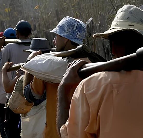 Trinta Anos na Linha de Frente: Por Que a Luta Contra o Trabalho Escravo Está em Risco? 2 Trinta Anos na Linha de Frente Por Que a Luta Contra o Trabalho Escravo Est em Risco Trinta Anos na Linha de Frente: Por Que a Luta Contra o Trabalho Escravo Está em Risco?