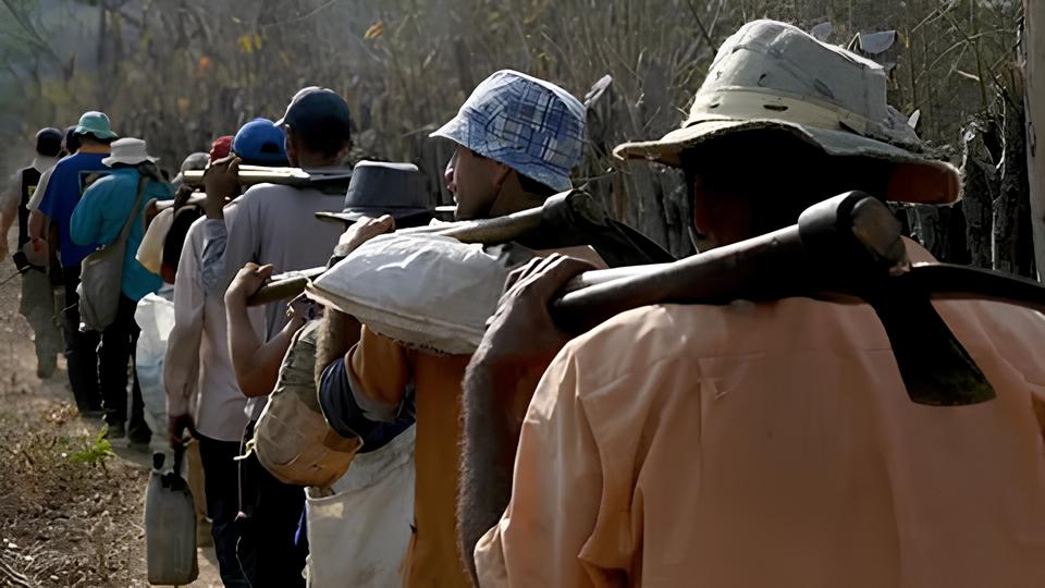 Trinta Anos na Linha de Frente: Por Que a Luta Contra o Trabalho Escravo Está em Risco? 1 Trinta Anos na Linha de Frente Por Que a Luta Contra o Trabalho Escravo Est em Risco Trinta Anos na Linha de Frente: Por Que a Luta Contra o Trabalho Escravo Está em Risco?