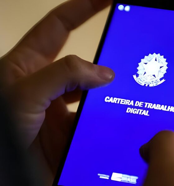 Um Futuro de Oportunidades: Como o Vale do Itajaí se Tornou a Capital das Vagas de Emprego em Santa Catarina 2 Um Futuro de Oportunidades Como o Vale do Itaja se Tornou a Capital das Vagas de Emprego em Santa Catarina Um Futuro de Oportunidades: Como o Vale do Itajaí se Tornou a Capital das Vagas de Emprego em Santa Catarina