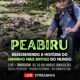 Uma Nova Chance Campo Grande Lan a Programa de Bolsa Aux lio para Desempregados em 2025 Uma Nova Chance: Campo Grande Lança Programa de Bolsa-Auxílio para Desempregados em 2025