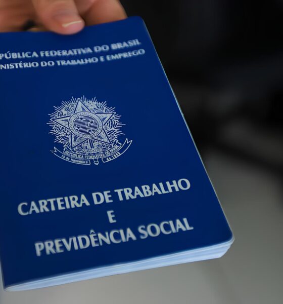 17 Vagas de Emprego em Alta Floresta Como Esta Oportunidade Pode Mudar Sua Vida 17 Vagas de Emprego em Alta Floresta: Como Esta Oportunidade Pode Mudar Sua Vida?