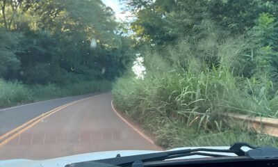A Batalha das Estradas Abandonadas Kalor Clama por Justi a nas Rodovias Enquanto o Perigo Cresce A Batalha das Estradas Abandonadas: Kaloré Clama por Justiça nas Rodovias Enquanto o Perigo Cresce