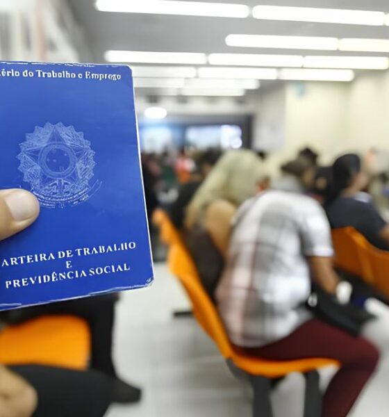 A Verdade Escondida em Seu Prato: Como uma Dieta Rica em Proteína Pode Estar Fragilizando Seus Ossos 2 A Verdade Escondida em Seu Prato Como uma Dieta Rica em Prote na Pode Estar Fragilizando Seus Ossos A Verdade Escondida em Seu Prato: Como uma Dieta Rica em Proteína Pode Estar Fragilizando Seus Ossos