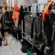 BYD na Mira da Justi a Como a Gigante Chinesa Foi Flagrada Explorando Trabalhadores em Condi es An logas Escravid o na Bahia BYD na Mira da Justiça: Como a Gigante Chinesa Foi Flagrada Explorando Trabalhadores em Condições Análogas à Escravidão na Bahia