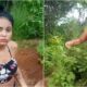 Brasil Lidera a Revolu o Global pela Justi a Social Como o Pa s Est Transformando Ideais em A es Concretas no F rum de Genebra Brasil Lidera a Revolução Global pela Justiça Social: Como o País Está Transformando Ideais em Ações Concretas no Fórum de Genebra