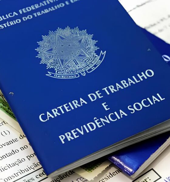 Como 550 Vagas de Emprego em 12 Munic pios Podem Transformar a Para ba em 2024 Uma Oportunidade nica para Quem Sonha com o Futuro Como 550 Vagas de Emprego em 12 Municípios Podem Transformar a Paraíba em 2024: Uma Oportunidade Única para Quem Sonha com o Futuro