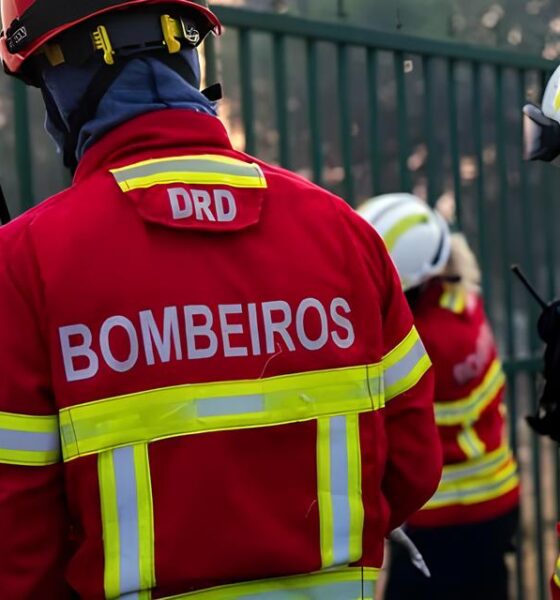 Como Conquistar uma das 230 Vagas de Soldado Auxiliar dos Bombeiros: O Guia Completo para Mudar Sua Carreira e Transformar Sua Vida 2 Como Conquistar uma das 230 Vagas de Soldado Auxiliar dos Bombeiros O Guia Completo para Mudar Sua Carreira e Transformar Sua Vida Como Conquistar uma das 230 Vagas de Soldado Auxiliar dos Bombeiros: O Guia Completo para Mudar Sua Carreira e Transformar Sua Vida