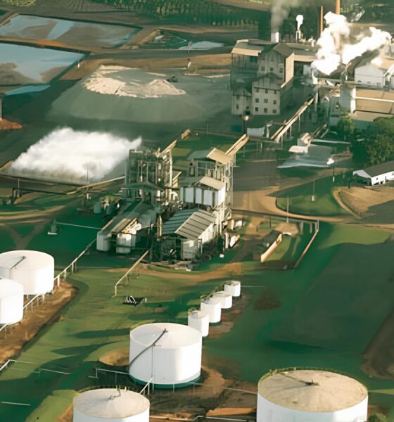Descubra Como a Ipiranga Agroind stria Est Transformando Vidas na Regi o com Mais de 10 Vagas de Emprego Dispon veis Descubra Como a Ipiranga Agroindústria Está Transformando Vidas na Região com Mais de 10 Vagas de Emprego Disponíveis