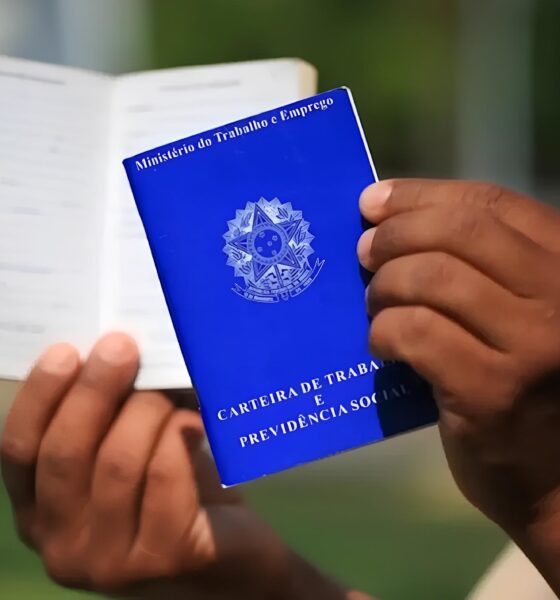Grandes Oportunidades no Horizonte: Como o Setor Logístico Está Abrindo Portas Para Milhares de Brasileiros 2 Grandes Oportunidades no Horizonte Como o Setor Log stico Est Abrindo Portas Para Milhares de Brasileiros Grandes Oportunidades no Horizonte: Como o Setor Logístico Está Abrindo Portas Para Milhares de Brasileiros
