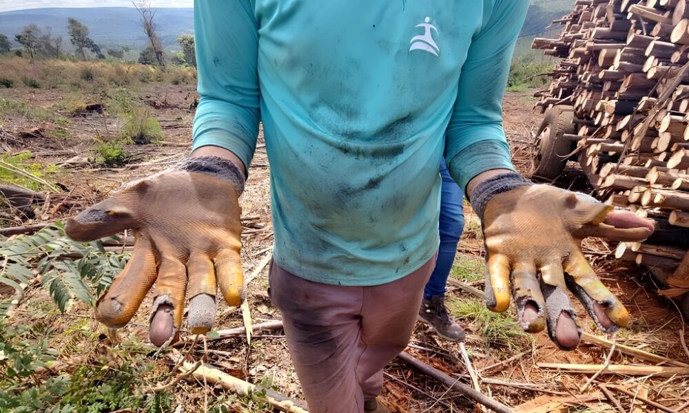 MG O Dia em que um C o um Caminhoneiro e um Resgate Mudaram a Hist ria de Vidas Destaques do Di rio do Estado 01 06 2025 MG: O Dia em que um Cão, um Caminhoneiro e um Resgate Mudaram a História de Vidas – Destaques do Diário do Estado 01/06/2025