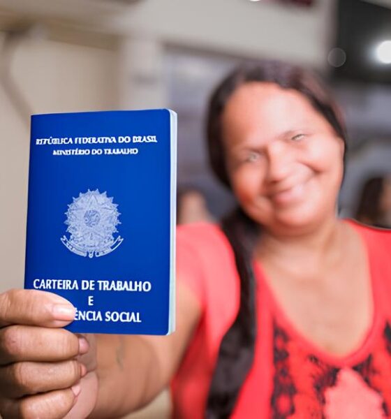 Maceió: A Capital do Emprego em Alagoas e o Milagre dos 1.400 Postos de Trabalho Formais 2 Macei A Capital do Emprego em Alagoas e o Milagre dos 1 400 Postos de Trabalho Formais Maceió: A Capital do Emprego em Alagoas e o Milagre dos 1.400 Postos de Trabalho Formais