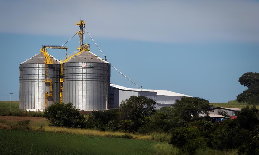 Mato Grosso na Encruzilhada Como 100 Milh es de Toneladas de Gr os Podem Virar um Problema Sem Solu o Mato Grosso na Encruzilhada: Como 100 Milhões de Toneladas de Grãos Podem Virar um Problema Sem Solução?