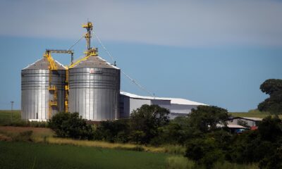 Mato Grosso na Encruzilhada Como 100 Milh es de Toneladas de Gr os Podem Virar um Problema Sem Solu o Mato Grosso na Encruzilhada: Como 100 Milhões de Toneladas de Grãos Podem Virar um Problema Sem Solução?