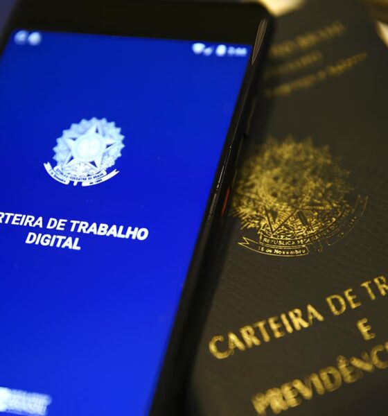 O Brasil Está de Parabéns: Desemprego Cai a 6,2% e Empregos Formais Batem Recorde Histórico 2 O Brasil Est de Parab ns Desemprego Cai a 6 2 e Empregos Formais Batem Recorde Hist rico O Brasil Está de Parabéns: Desemprego Cai a 6,2% e Empregos Formais Batem Recorde Histórico