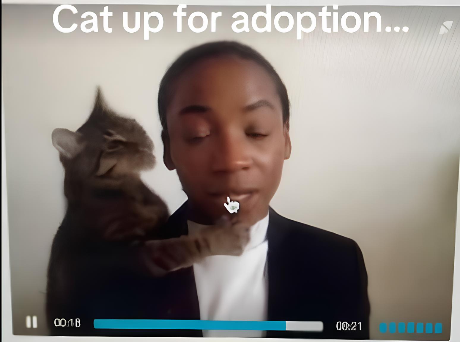 O Dia em que um Gato Roubou o Holofote: Como uma Entrevista de Emprego Viralizou no TikTok e Fez a Internet Refletir sobre Trabalho, Tecnologia e Espontaneidade 1 O Dia em que um Gato Roubou o Holofote Como uma Entrevista de Emprego Viralizou no TikTok e Fez a Internet Refletir sobre Trabalho Tecnologia e Espontaneidade O Dia em que um Gato Roubou o Holofote: Como uma Entrevista de Emprego Viralizou no TikTok e Fez a Internet Refletir sobre Trabalho, Tecnologia e Espontaneidade