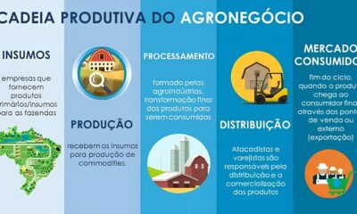 O Futuro do Trabalho Tempor rio no Brasil Como 800 Mil Vagas Podem Transformar o Mercado em 2025 O Futuro do Trabalho Temporário no Brasil: Como 800 Mil Vagas Podem Transformar o Mercado em 2025