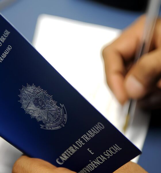 Oportunidades Renovadas: Mais de 500 Vagas Transformam Sergipe em Um Novo Horizonte Profissional 2 Oportunidades Renovadas Mais de 500 Vagas Transformam Sergipe em Um Novo Horizonte Profissional Oportunidades Renovadas: Mais de 500 Vagas Transformam Sergipe em Um Novo Horizonte Profissional