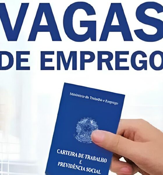 Oportunidades de Ouro em Tempos de Crise: As Vagas do SINE que Estão Transformando Vidas 2 Oportunidades de Ouro em Tempos de Crise As Vagas do SINE que Est o Transformando Vidas Oportunidades de Ouro em Tempos de Crise: As Vagas do SINE que Estão Transformando Vidas