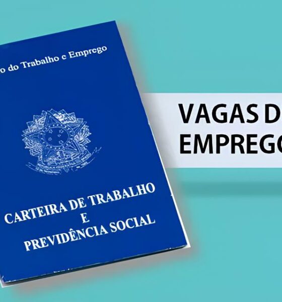 Oportunidades de Ouro na Clealco: Como Conquistar uma Vaga no Setor Sucroenergético em Clementina e Queiroz 2 Oportunidades de Ouro na Clealco Como Conquistar uma Vaga no Setor Sucroenerg tico em Clementina e Queiroz Oportunidades de Ouro na Clealco: Como Conquistar uma Vaga no Setor Sucroenergético em Clementina e Queiroz