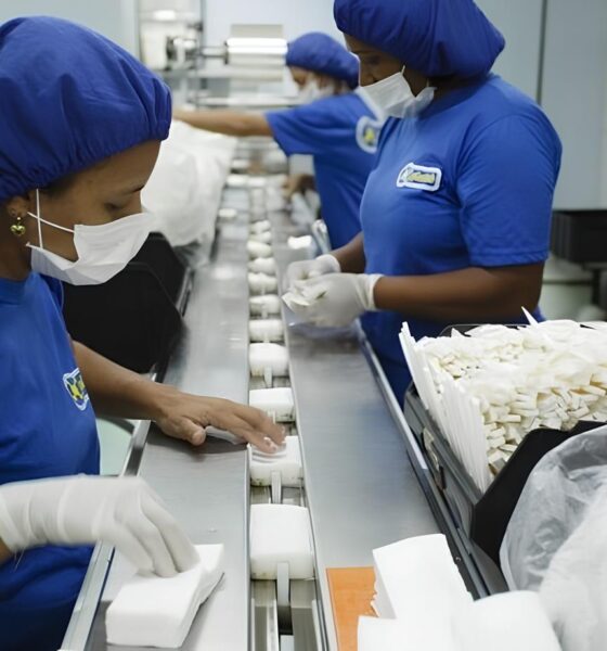 Por Que 3,5 Mil Vagas de Emprego em Mato Grosso do Sul Podem Mudar o Futuro de Milhares? 2 Por Que 3 5 Mil Vagas de Emprego em Mato Grosso do Sul Podem Mudar o Futuro de Milhares Por Que 3,5 Mil Vagas de Emprego em Mato Grosso do Sul Podem Mudar o Futuro de Milhares?
