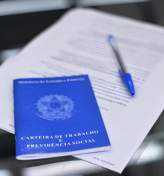 Por Que o Brasil Está Comemorando um Recorde Histórico de Empregos com Carteira Assinada? 2 Por Que o Brasil Est Comemorando um Recorde Hist rico de Empregos com Carteira Assinada Por Que o Brasil Está Comemorando um Recorde Histórico de Empregos com Carteira Assinada?