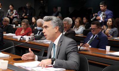 Professores Tempor rios na Educa o P blica O Que Est em Jogo no Projeto de Lei do Sistema Nacional de Educa o Professores Temporários na Educação Pública: O Que Está em Jogo no Projeto de Lei do Sistema Nacional de Educação?
