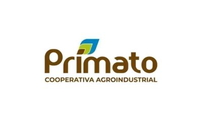 Rede Primato em Toledo A Oportunidade de Trabalho Que Voc N o Pode Ignorar Rede Primato em Toledo: A Oportunidade de Trabalho Que Você Não Pode Ignorar