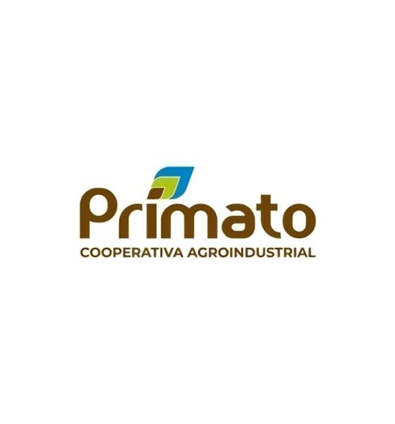 Rede Primato em Toledo: A Oportunidade de Trabalho Que Você Não Pode Ignorar 2 Rede Primato em Toledo A Oportunidade de Trabalho Que Voc N o Pode Ignorar Rede Primato em Toledo: A Oportunidade de Trabalho Que Você Não Pode Ignorar