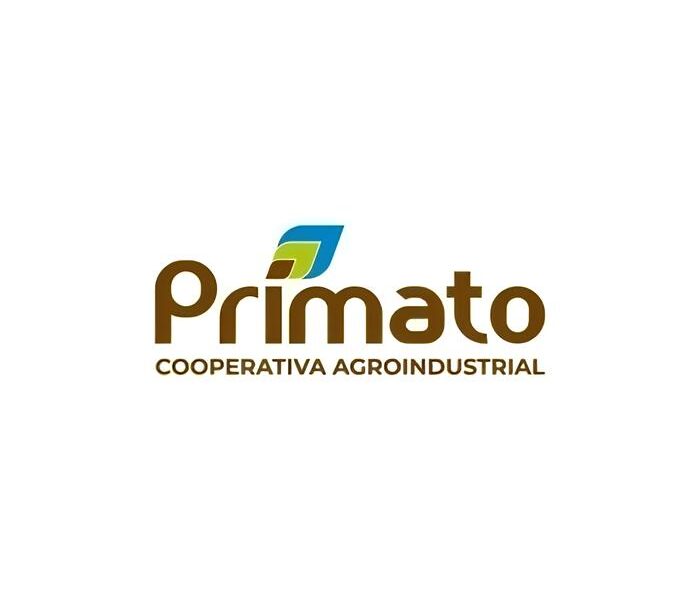 Rede Primato em Toledo A Oportunidade de Trabalho Que Voc N o Pode Ignorar Rede Primato em Toledo: A Oportunidade de Trabalho Que Você Não Pode Ignorar