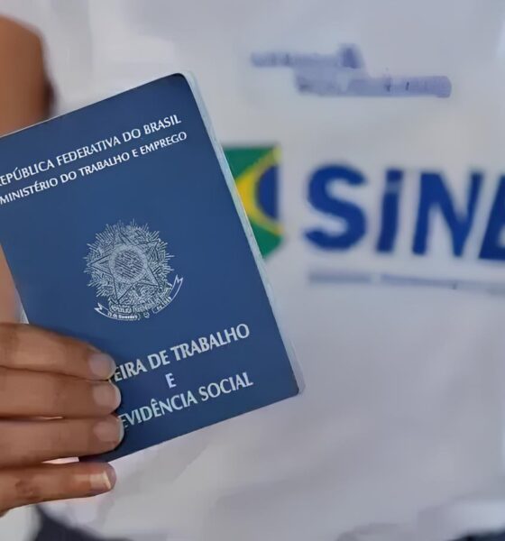 Rio Negrinho em Foco: Oportunidades, Notícias e Transformações Locais que Impactam a Região 2 Rio Negrinho em Foco Oportunidades Not cias e Transforma es Locais que Impactam a Regi o Rio Negrinho em Foco: Oportunidades, Notícias e Transformações Locais que Impactam a Região