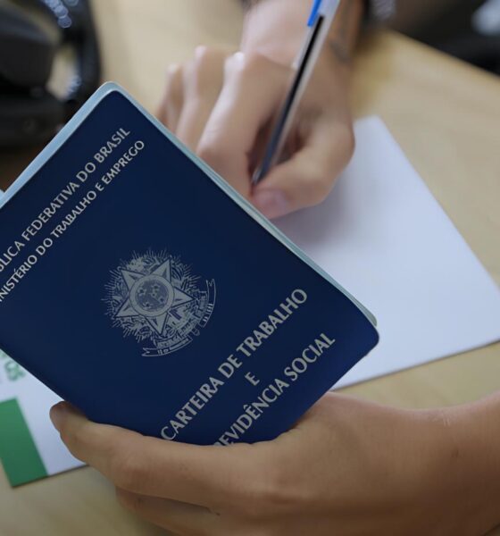 Santa Catarina em Movimento 8 Mil Vagas Abertas e a Batalha por Oportunidades no Mercado de Trabalho Santa Catarina em Movimento: 8 Mil Vagas Abertas e a Batalha por Oportunidades no Mercado de Trabalho