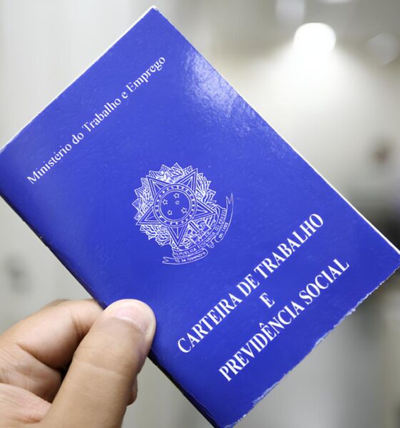 3.635 Vagas de Emprego em MS: A Oportunidade Que Você Não Pode Ignorar 2 3 635 Vagas de Emprego em MS A Oportunidade Que Voc N o Pode Ignorar 3.635 Vagas de Emprego em MS: A Oportunidade Que Você Não Pode Ignorar