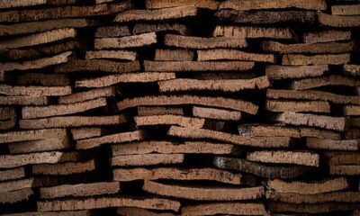 A Guerra Comercial Que Est Moldando o Futuro da Economia Portuguesa A Guerra Comercial Que Está Moldando o Futuro da Economia Portuguesa