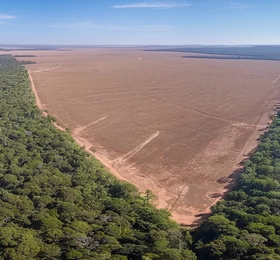 A Guerra Silenciosa na Amazônia: Como 127 Operações Ambientais Revelam o Futuro do Nosso Planeta 2 A Guerra Silenciosa na Amaz nia Como 127 Opera es Ambientais Revelam o Futuro do Nosso Planeta A Guerra Silenciosa na Amazônia: Como 127 Operações Ambientais Revelam o Futuro do Nosso Planeta
