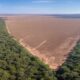 A Guerra Silenciosa na Amaz nia Como 127 Opera es Ambientais Revelam o Futuro do Nosso Planeta A Guerra Silenciosa na Amazônia: Como 127 Operações Ambientais Revelam o Futuro do Nosso Planeta
