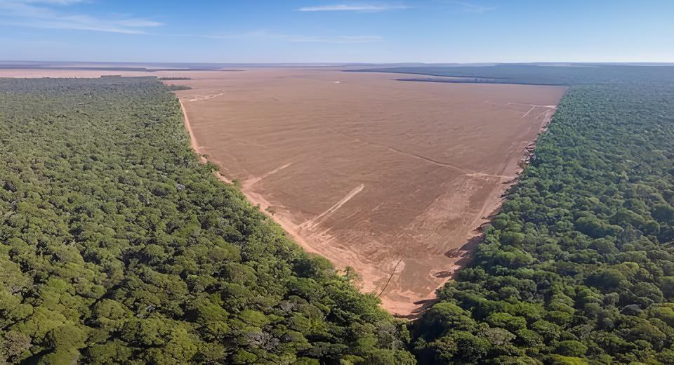 A Guerra Silenciosa na Amazônia: Como 127 Operações Ambientais Revelam o Futuro do Nosso Planeta 1 A Guerra Silenciosa na Amaz nia Como 127 Opera es Ambientais Revelam o Futuro do Nosso Planeta A Guerra Silenciosa na Amazônia: Como 127 Operações Ambientais Revelam o Futuro do Nosso Planeta