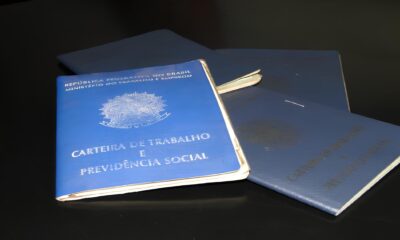 A Queda Silenciosa Como Palmas Encarou o Saldo Negativo de Empregos em Maio de 2025 A Queda Silenciosa: Como Palmas Encarou o Saldo Negativo de Empregos em Maio de 2025