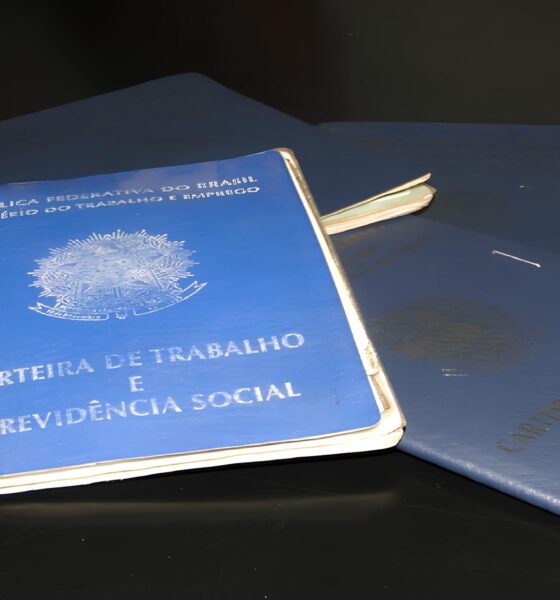 A Queda Silenciosa: Como Palmas Encarou o Saldo Negativo de Empregos em Maio de 2025 2 A Queda Silenciosa Como Palmas Encarou o Saldo Negativo de Empregos em Maio de 2025 A Queda Silenciosa: Como Palmas Encarou o Saldo Negativo de Empregos em Maio de 2025