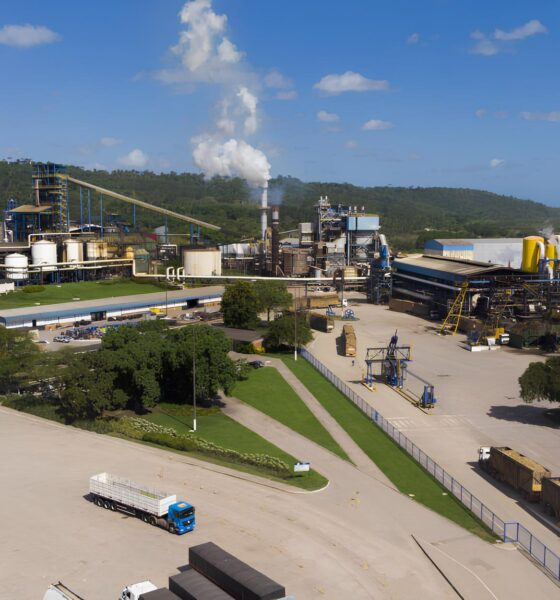 A Tempestade do Açúcar: Como a Sobretaxa dos EUA Pode Sacudir o Nordeste e Transformar o Agronegócio Brasileiro 2 A Tempestade do A car Como a Sobretaxa dos EUA Pode Sacudir o Nordeste e Transformar o Agroneg cio Brasileiro A Tempestade do Açúcar: Como a Sobretaxa dos EUA Pode Sacudir o Nordeste e Transformar o Agronegócio Brasileiro
