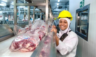 Betim em Movimento Plena Alimentos Abre Portas para o Futuro com Mutir o de Empregos Betim em Movimento: Plena Alimentos Abre Portas para o Futuro com Mutirão de Empregos