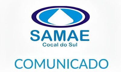Brasil Sai do Mapa da Fome A Hist ria de um Retorno Triunfal Seguran a Alimentar Brasil Sai do Mapa da Fome: A História de um Retorno Triunfal à Segurança Alimentar