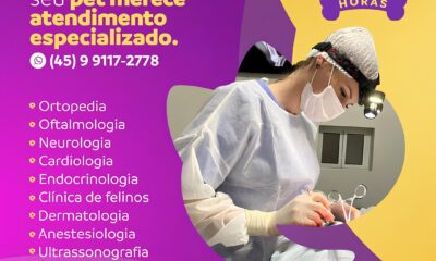 Como a Rede Primato Transforma Vidas em Toledo Descubra as Oportunidades de Emprego e Muito Mais Como a Rede Primato Transforma Vidas em Toledo: Descubra as Oportunidades de Emprego e Muito Mais