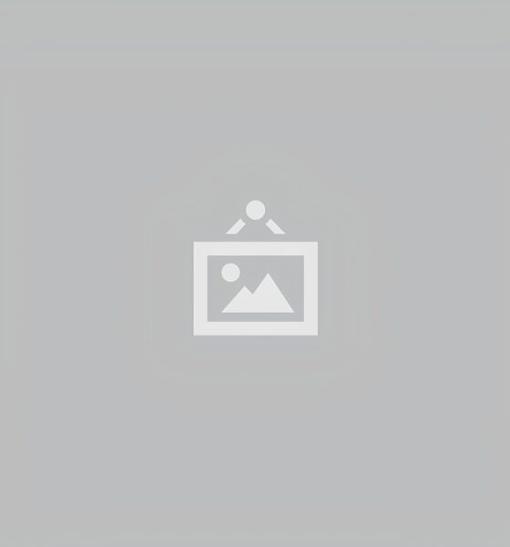 Juventude à Prova: O Paradoxo das Portas Abertas no Mercado de Trabalho Brasileiro 2 Juventude Prova O Paradoxo das Portas Abertas no Mercado de Trabalho Brasileiro Juventude à Prova: O Paradoxo das Portas Abertas no Mercado de Trabalho Brasileiro