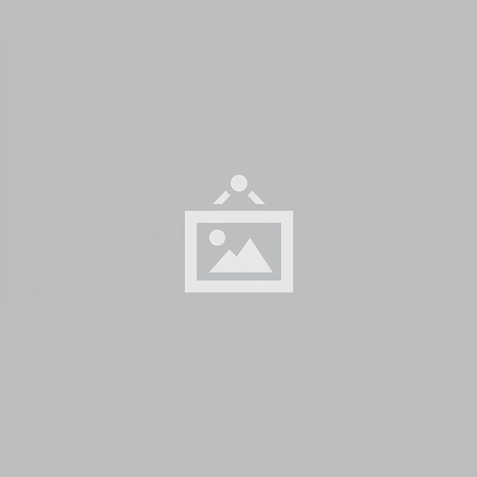 Juventude à Prova: O Paradoxo das Portas Abertas no Mercado de Trabalho Brasileiro 1 Juventude à Prova: O Paradoxo das Portas Abertas no Mercado de Trabalho Brasileiro