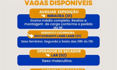 Por Que Bandeirantes Est Revolucionando o Mercado de Empregos em 2025 Por Que Bandeirantes Está Revolucionando o Mercado de Empregos em 2025?